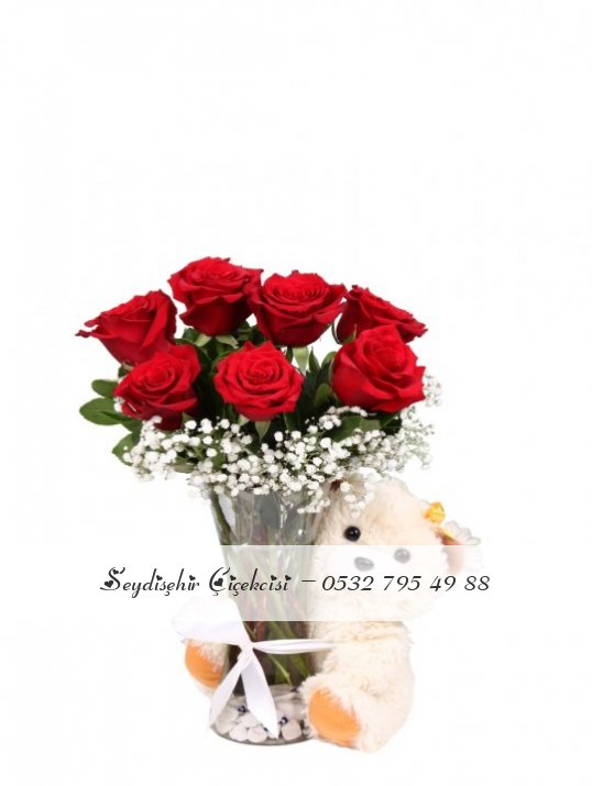 VAZODA 7 GÜL VE AYICIK